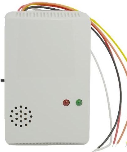Gas Detector